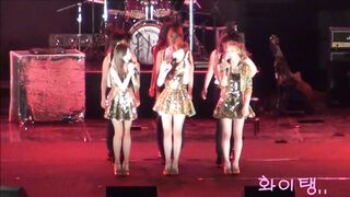 少女时代 120525 Twinkle Fancam.高丽大学庆典