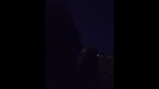 ASMR - Guy gives Girl Head in Unlit Park