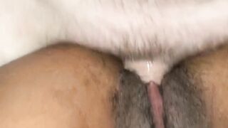 Ebony Pussy Cums all over White Cock