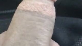 Driving With My Dick