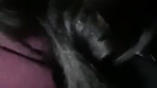 LOUD SLURPING BLOWJOB IN THE CAR ( Dark ) @IControlThroats Twitter