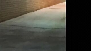 Hooker Sucking Dick In An Alley