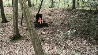 A Day in the Woods - Slapping Ass