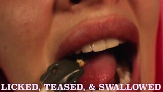 Licked, Teased, & Swallowed - {HD 1080p} [Preview]