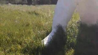 Hot crazy girl naked swinging in Flemish Fields smashing the camera