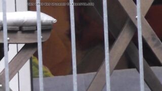 Voyeur neighbour ass and fucking from balcony