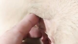 Slut begs to cum after 4 days denial