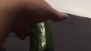 Fucking my tiny pussy with a huge cucumber and squirting everywhere while wearing ripped pantyhose