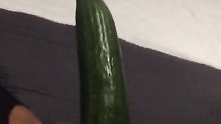 Fucking my tiny pussy with a huge cucumber and squirting everywhere while wearing ripped pantyhose