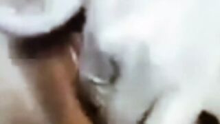 Hot Indian aunty ki mast cudai video hindi webcam aunty ki mast cudai video hindi webcam bhabhi ki mms video hindi hot