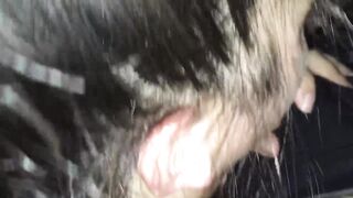 Late night outdoor mouth fucking