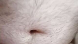 bbw baby chubby daddy close up fpov