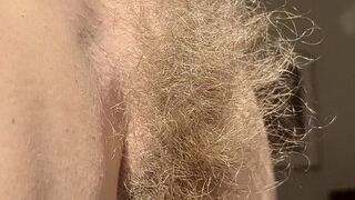 Hairy Sara's wild bush