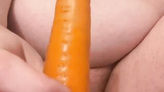 Carrot in pigs ass