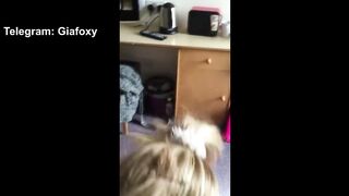 Big Step Sister Moves back Home - Full Version on Telegram: Giafoxy