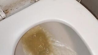 My first piss of the day flushing away because you don't deserve Goddess's Golden Showers